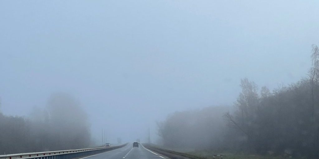 "Proteggere la fauna selvatica: la campagna di sensibilizzazione del Ministero delle Risorse Naturali della regione di Tver"