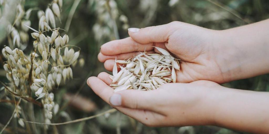 Previsioni meteo per l'8 settembre a Smolensk, Russia: cielo nuvoloso con schiarite e temperature tra i 15°C e i 20°C