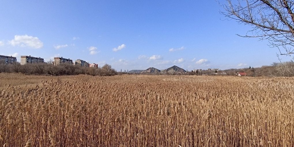 Россельхозцентр рассказал аграриям ЛНР, как сохранить урожай зерновых