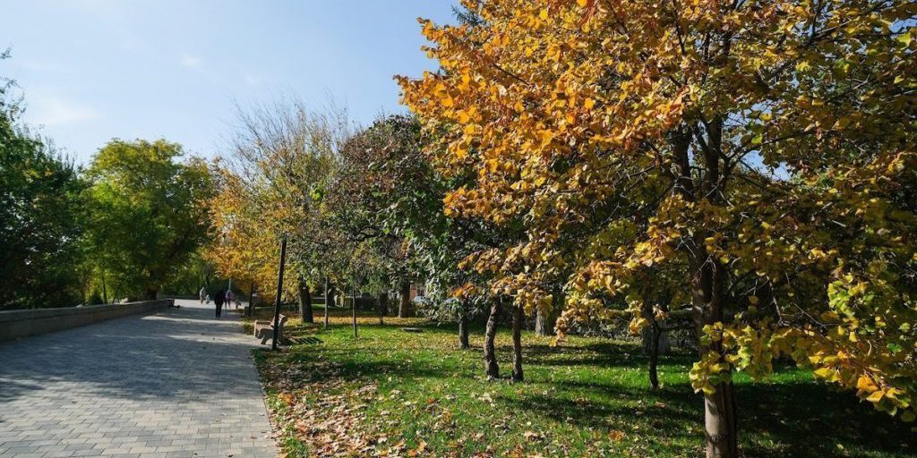 Previsioni Meteo per la regione di Volgograd il 18 settembre: vento forte e temperature elevate