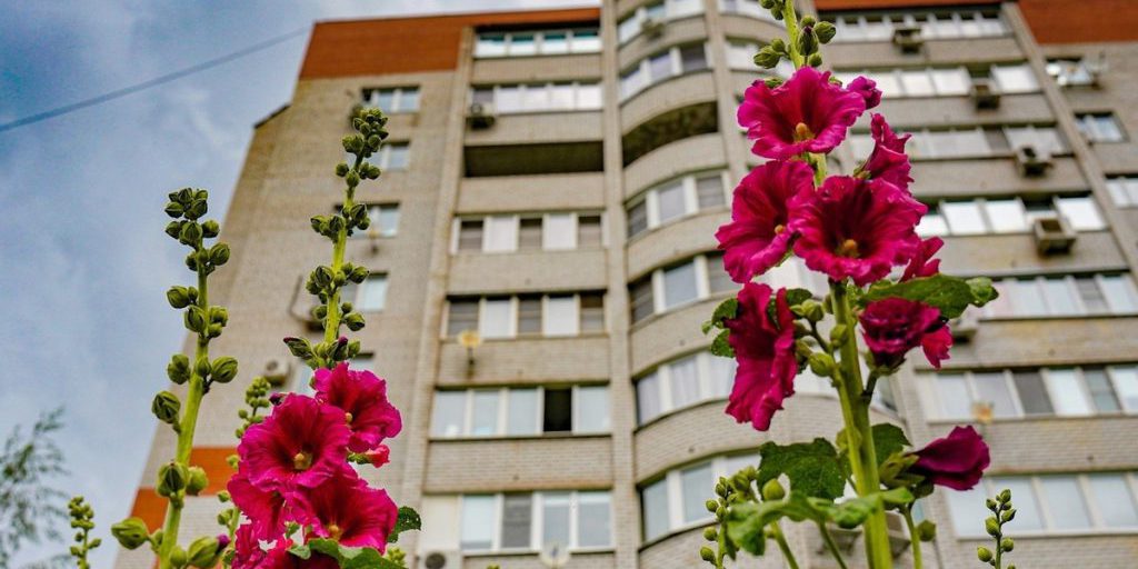 Эксперт ЖКХ Бондарь объяснил тулякам, как законно наказать соседей за хамство