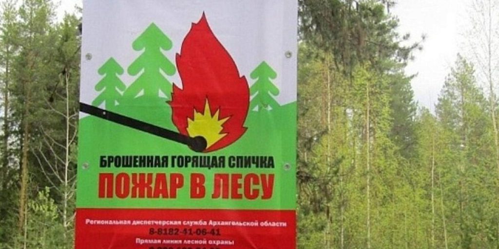 154 лесных пожара потушили в Архангельской области в этом сезоне