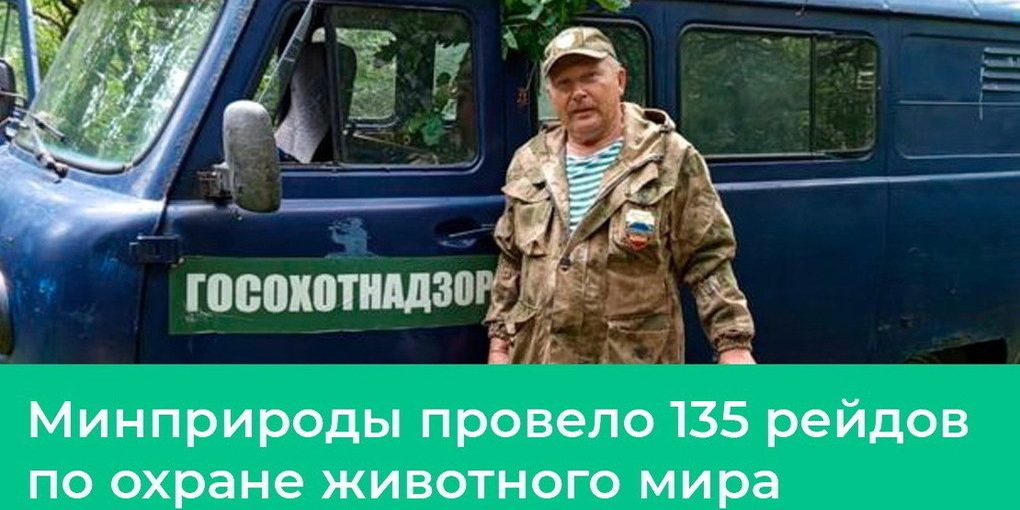 В Курской области зафиксировали 7 случаев незаконной добычи бобра и норки