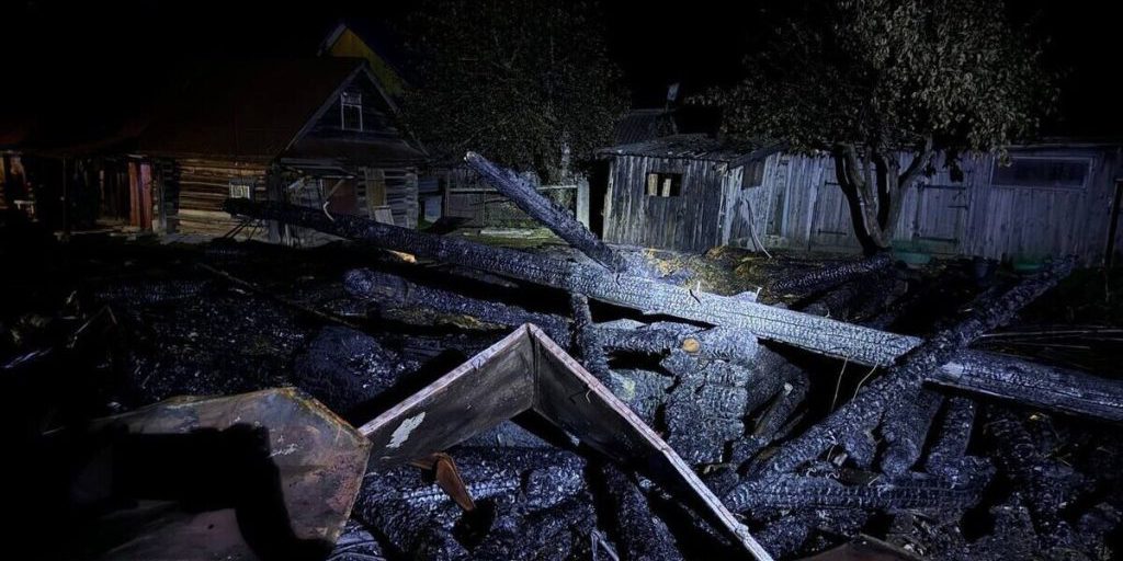 В деревне Куженерского района сгорел хлев с курами