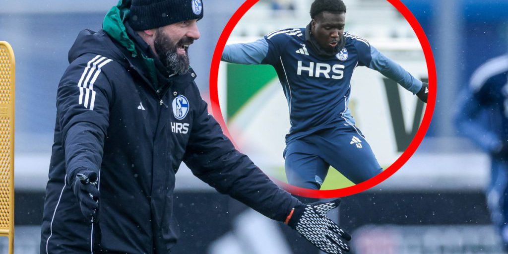 FC Schalke 04 presenta Miron Muslic come nuovo talento da sviluppare.