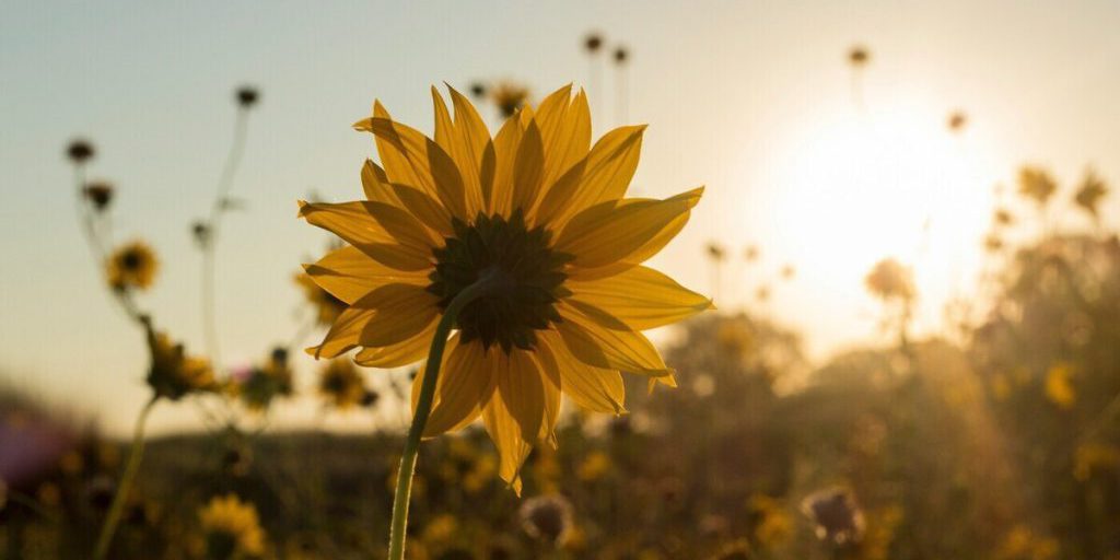 Temperature in aumento a Kursk: cosa aspettarsi per lunedì