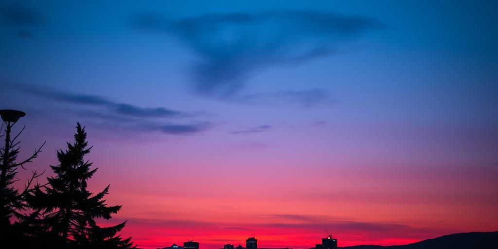 Manfrin: il bilancio mostra carenza di fondi per il settore sociale