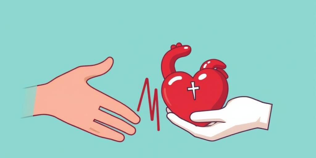 Policlinico Rodolico di Catania prepara prelievo di cuore, fegato e reni per pazienti in lista d'attesa