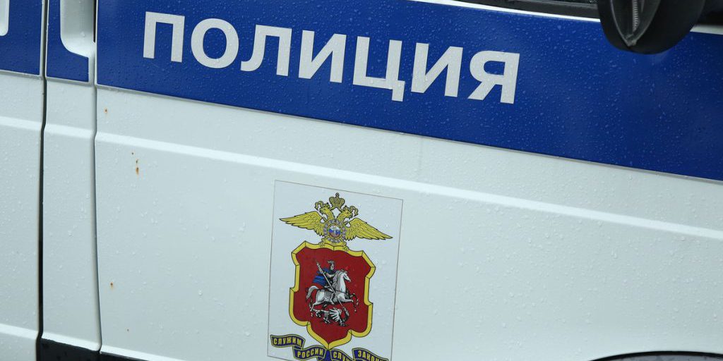 Caso di abuso di animali a Odnitsovo: donna getta gatto da finestra, indagini in corso