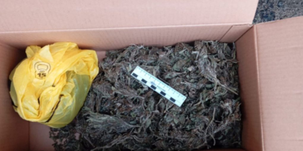 Scoperta di sostanze stupefacenti a Livny: 132,5 grammi di narcotici trovati nel garage di un residente