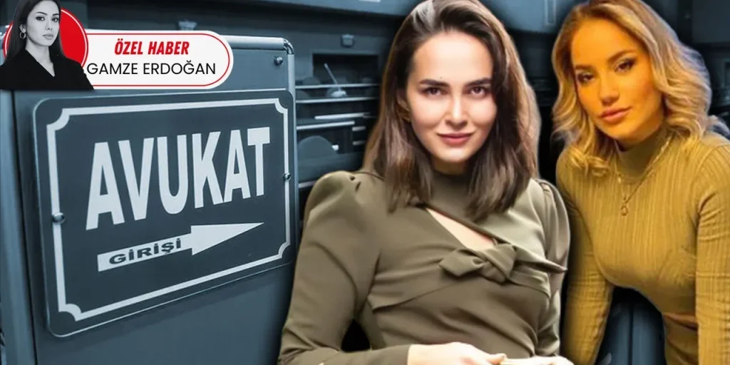 Autorità esaminano l'uso dei social media da parte degli avvocati: verrà redatto un manuale di uso e introdotto controllo rigoroso