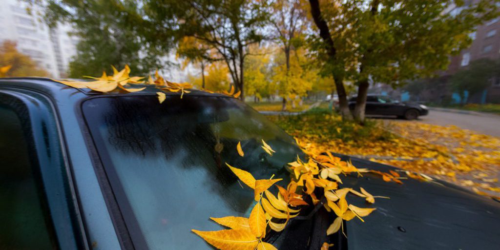 La Festa della Protezione della Madonna: Storia e Significato di una Celebrazione Religiosa Importante