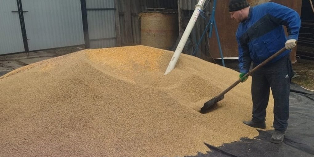 Соцконтракт помог белгородцу обзавестись личным подсобным хозяйством