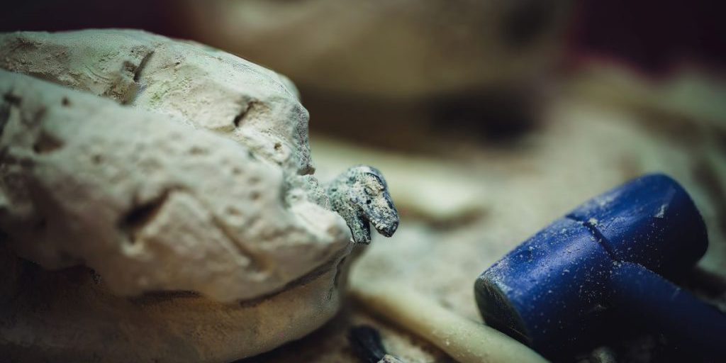 Uova di titanossauro trovate in Spagna: prova di dinosauri europei nel Cretaceo superiore