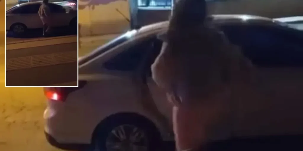 Donna aggredisce veicolo durante discussione a Elazığ, evento registrato