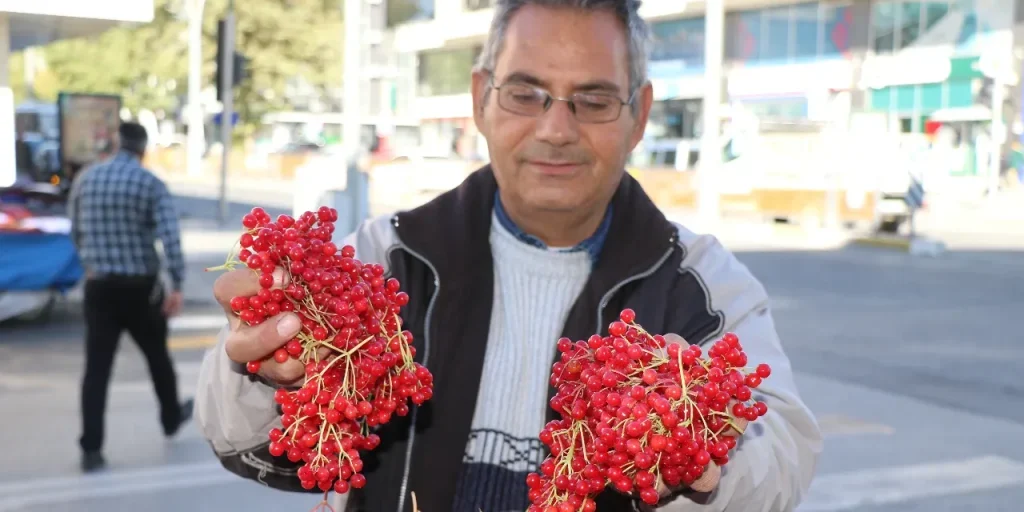 Il Gilaburu: un Frutto Miracoloso per la Salute e il Benessere