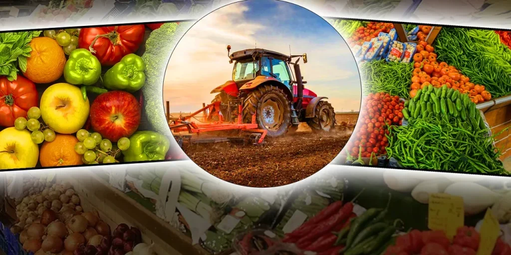 Turquia lancia il progetto pilota B‑Recipe per ridurre i residui di pesticidi nelle province di Mersin, Samsun, Ankara e Kırklareli