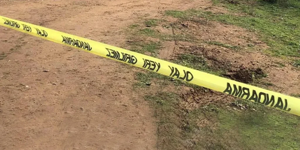 Tragedia a Muğla: 25enne trovato morto appeso a un albero vicino al suo posto di lavoro