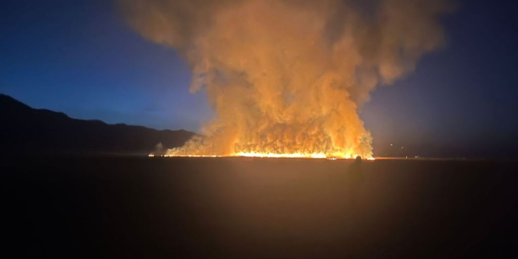Incendio in Turchia: il paradiso degli uccelli di Hakkari in pericolo