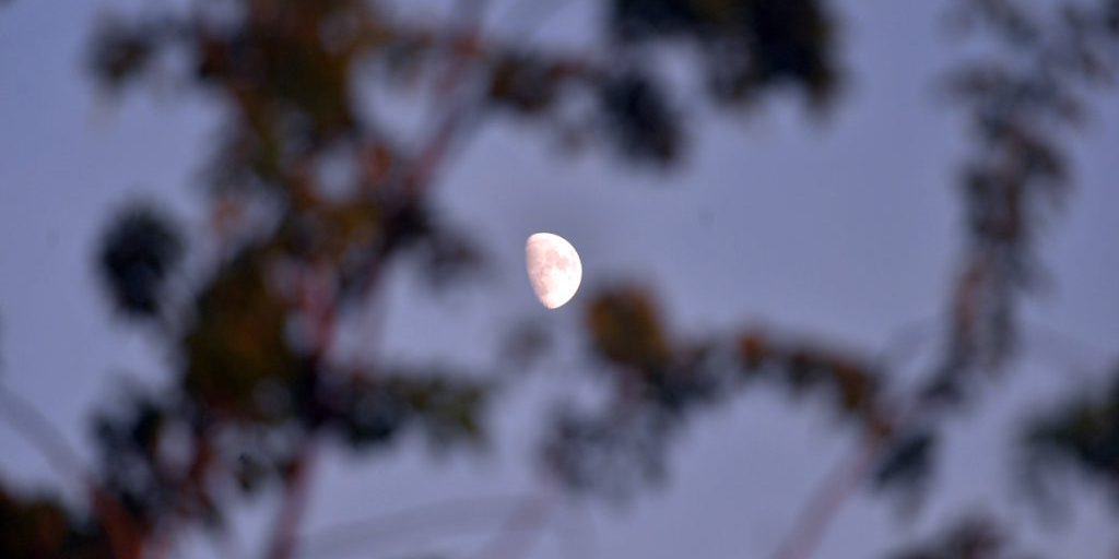 Halbmond im Krebs! Für drei Sternzeichen steht der Wendepunkt bevor