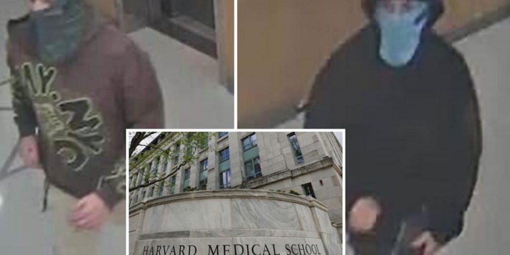 Esplosione alla Facoltà di Medicina di Harvard: due persone mascherate in fuga, indagini in corso