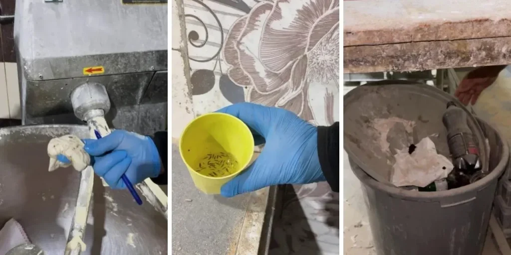 Panetterie di Kırıkhan chiuse dopo ispezione sanitaria per presenza di insetti