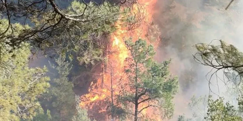 Incendio boschivo a Belen, Hatay: vigili del fuoco in azione