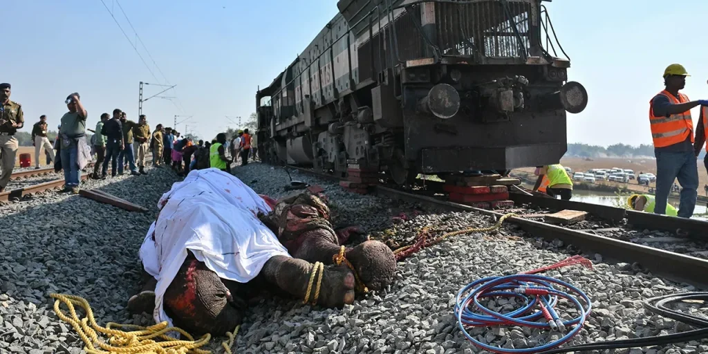 Treno colpisce branco di elefanti in Assam, 7 morti