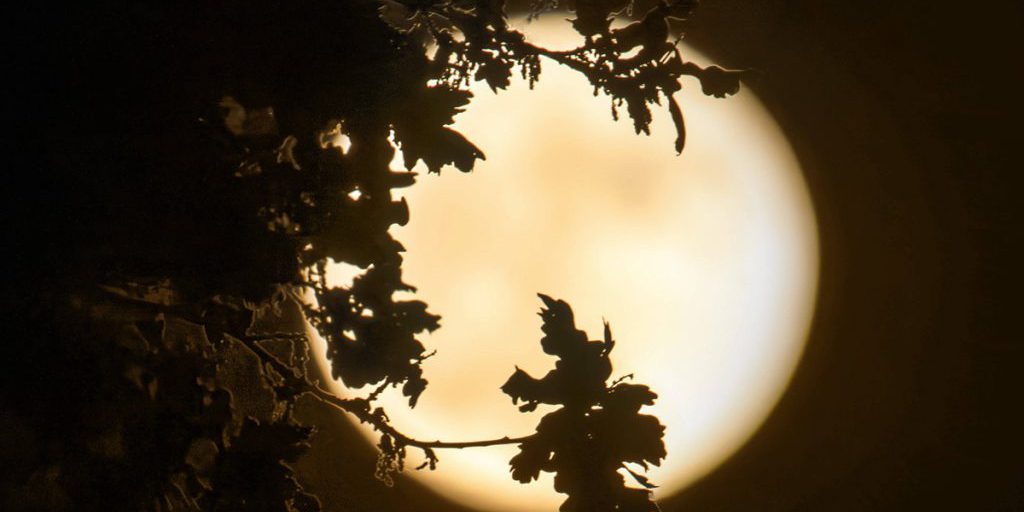 Weekend da sogno in dicembre: quale segno zodiacale ne beneficia