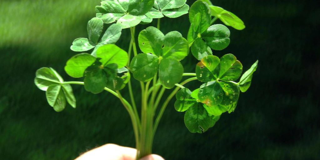 Glück, Liebe, Erfolg: Wochenhoroskop sagt traumhafte Tage voraus