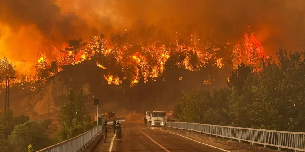 İhlas Haber Ajansı pubblica le foto più apprezzate dei suoi giornalisti nel 2025