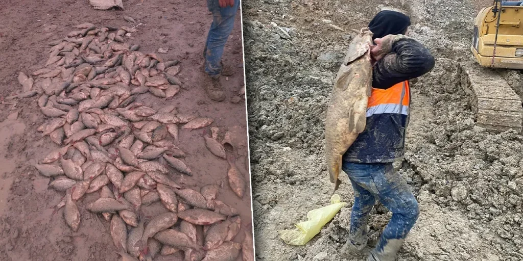 Lago Bolluca Mavi Göl a Arnavutköy: acqua quasi scomparsa e pesci morti