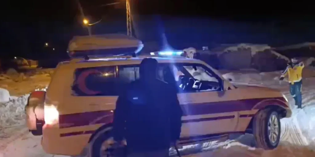 Richiesta di invio del testo originale per la revisione