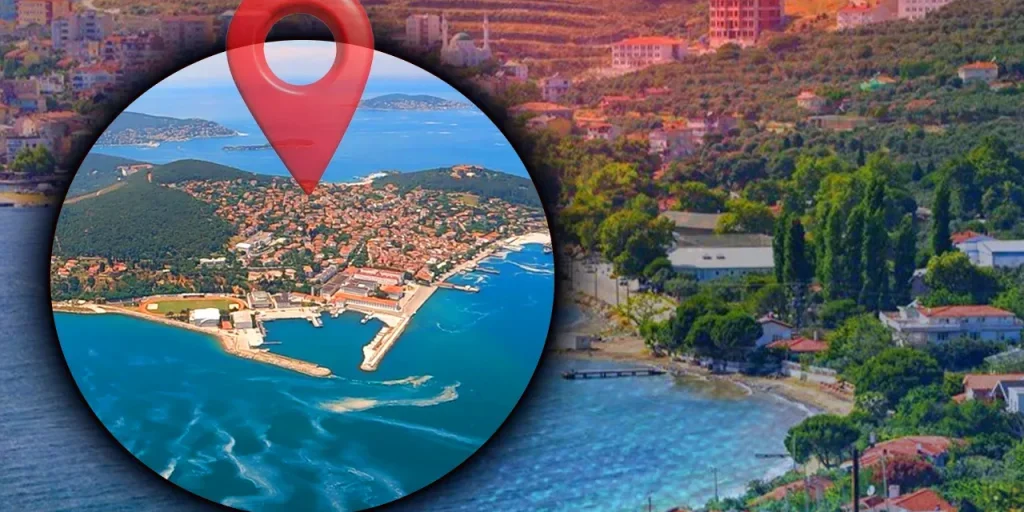 Malattia schap scoperta sull'isola di Marmara: quarantena e divieto di trasporto animale