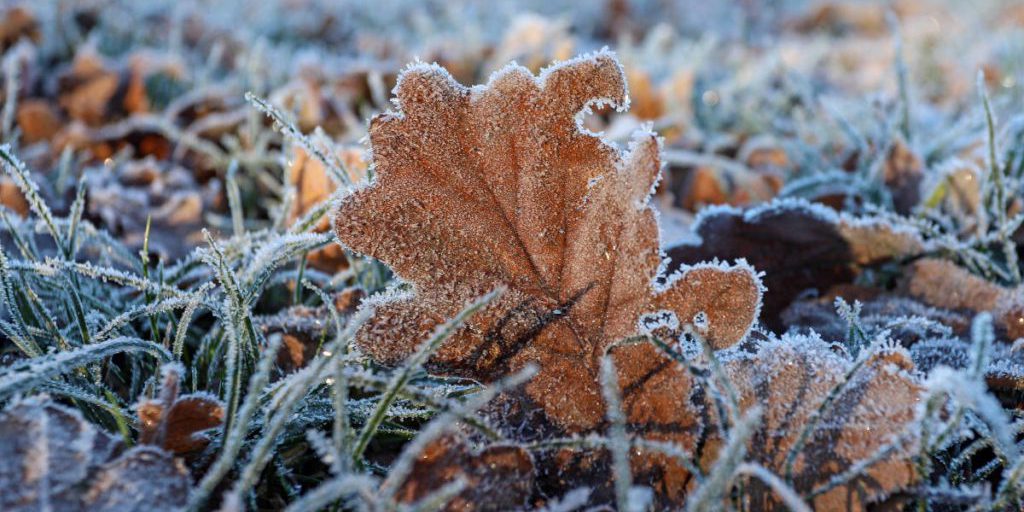 Bibber-Alarm in NRW? Eisige Wochenend-Prognose – „Temperaturen im freien Fall“