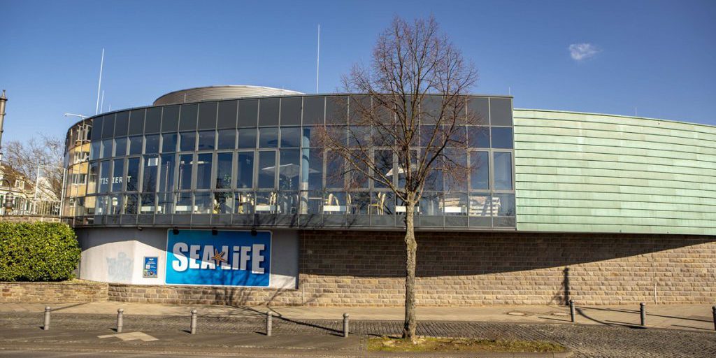 Sea Life NRW riapre dopo tre anni: ultime novità sul progetto