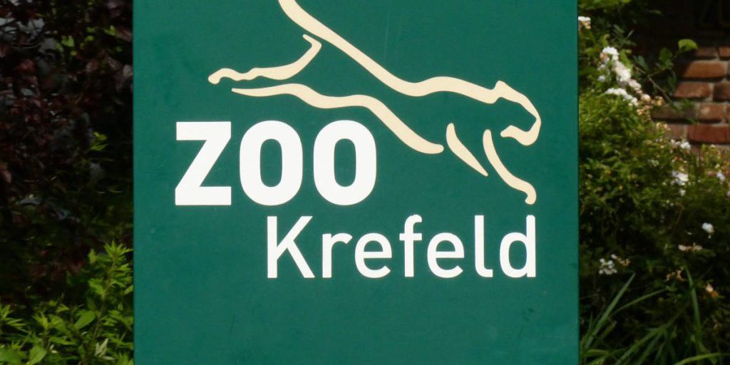 Morte allo zoo di Krefeld: la comunità zoologica in lutto