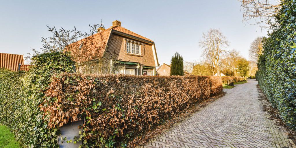 Preparazione Autunnale per i Proprietari di Case: Norme e Regolamenti da Conoscere per Evitare Multure Salate