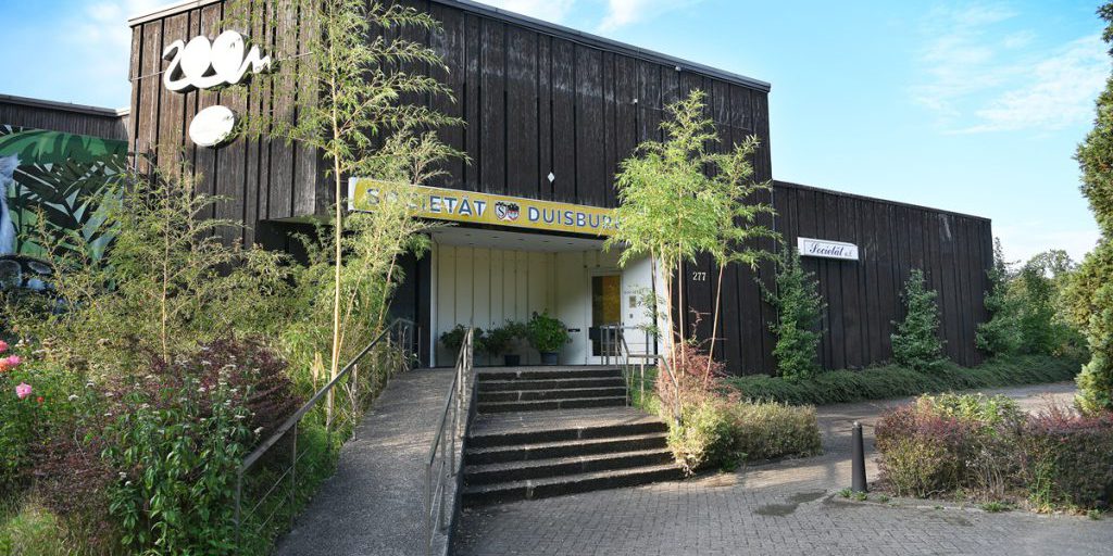 Nuovi Progressi allo Zoo di Duisburg: Le Zooterrassen Sono in Arrivo