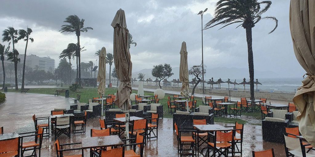 Auf Mallorca droht der Urlaubs-Albtraum! „Ist sehr gefährlich“