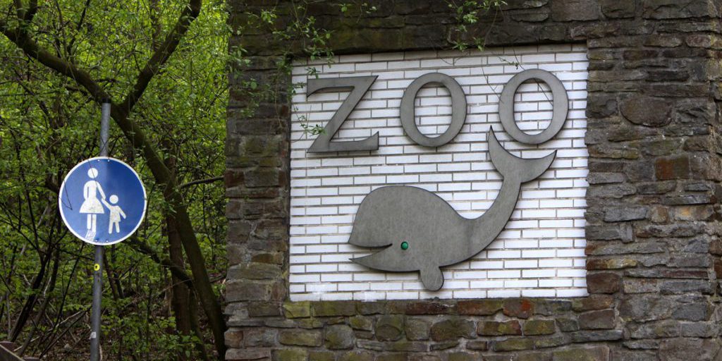Zoo Duisburg macht es offiziell – es passiert in der Dunkelheit