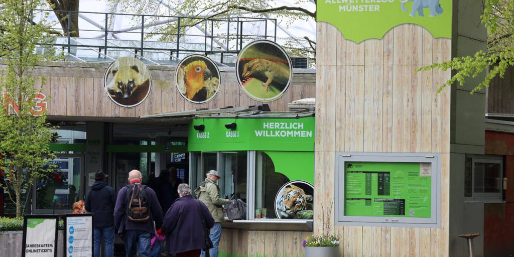 Zoo in NRW macht Geheimnis um Baby-Leoparden öffentlich