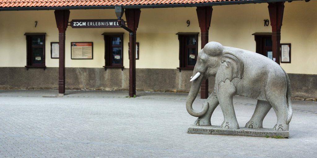 Trasformazione in corso allo Zoom Gelsenkirchen: scopri cosa cambia per i visitatori