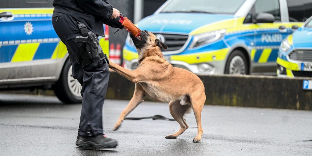 Polizeihund beißt Teenager in Essen – gegen ihn ermittelt jetzt die Polizei