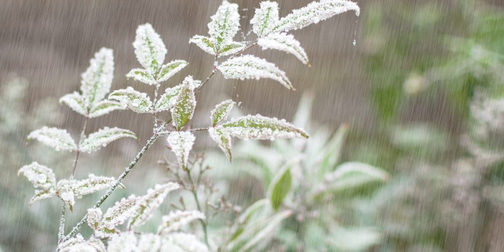 Allarme Meteo per il Fine Settimana in Renania Settentrionale-Vestfalia: Previsioni di Condizioni Climatiche Avverse e Misure di Sicurezza per gli Abitanti