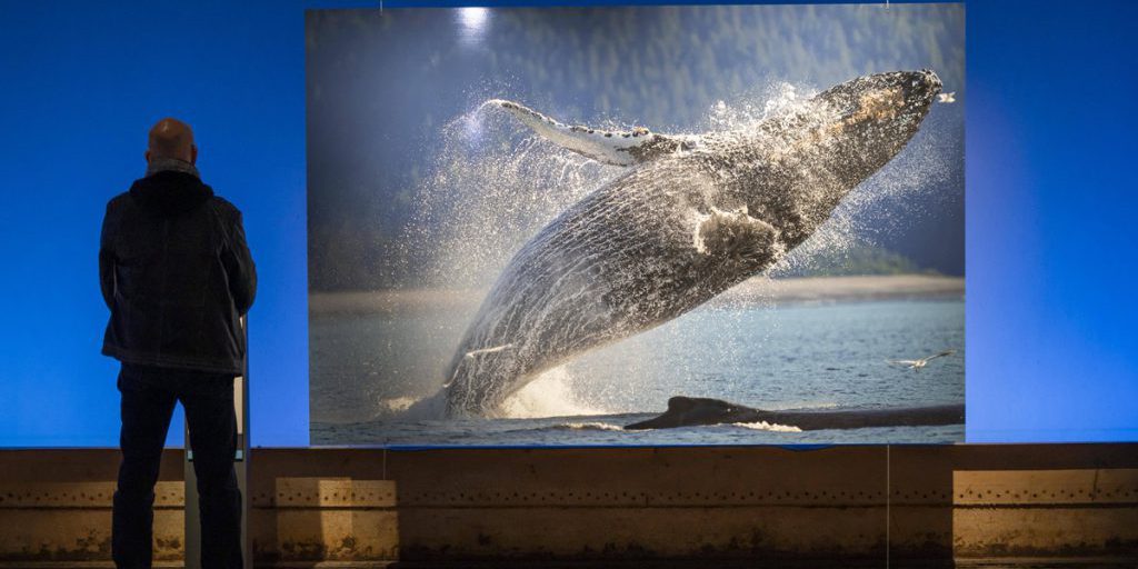 Gasometer Oberhausen registra nuovo record di visitatori con l'esposizione “Planet Ozean”
