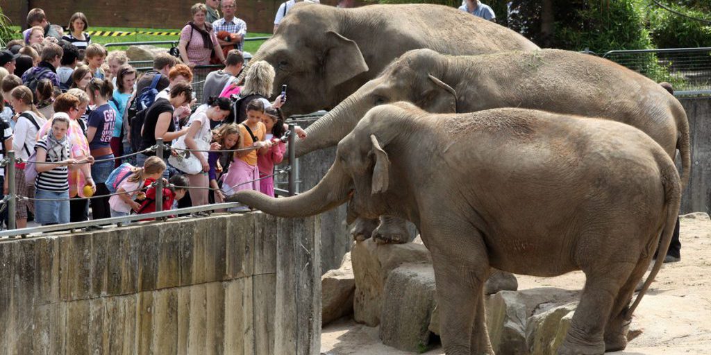 Visitatori del parco zoologico di NRW chiedono cambiamento dei prezzi d'ingresso