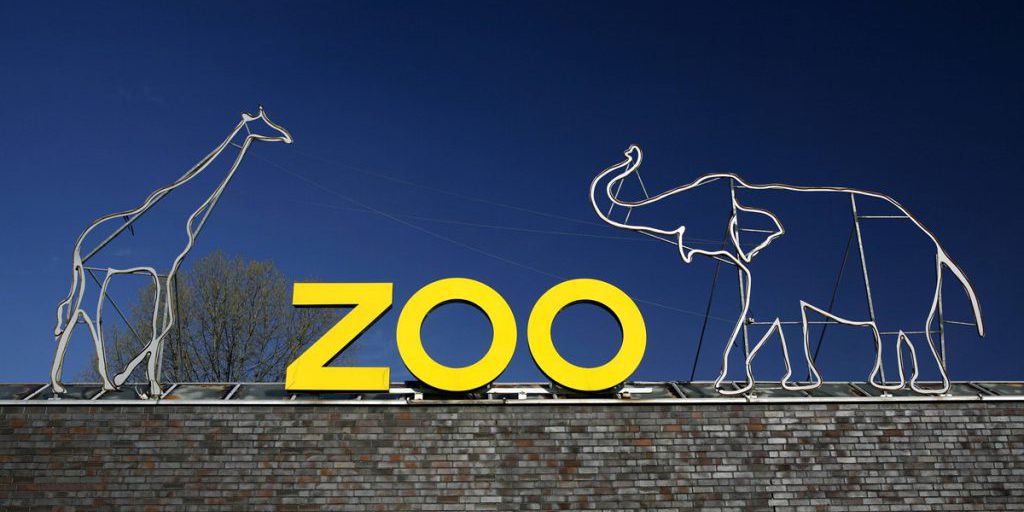 Serpente gigante fuggito dal Zoo di Colonia: il parco chiede suggerimenti per la sicurezza