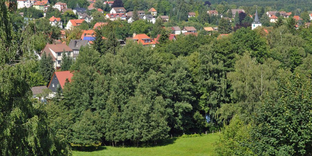 Norbert intende fare l'ultimo viaggio di vacanza con la famiglia in un luogo speciale