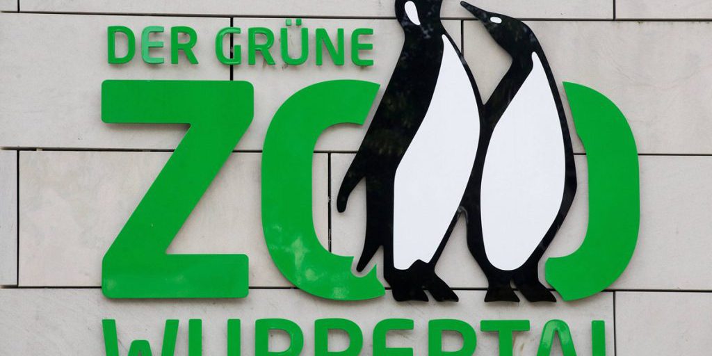 Animale rimosso dal Zoo di Wuppertal: fine della specie nella Renania Settentrionale‑Vestfalia